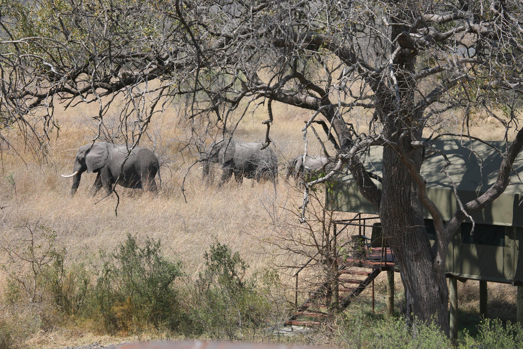 Nkasa Lupala Tented Lodge Sangwali Bagian luar foto